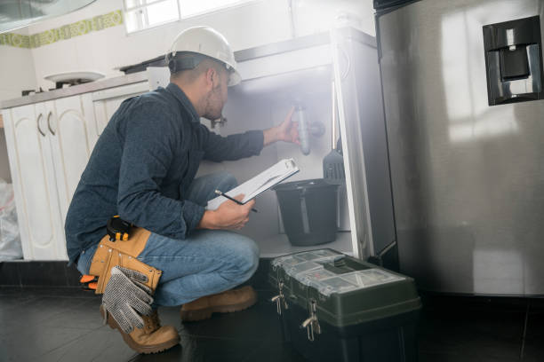 Best Same-Day Plumbing Service  in Walcott, IA