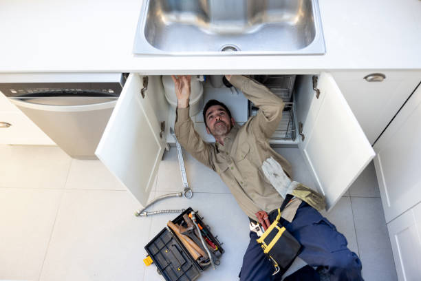 Best Affordable Plumber Near Me  in Walcott, IA