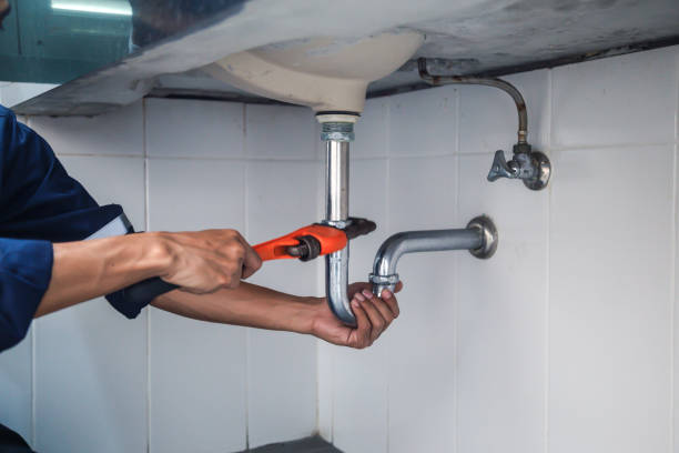 Best Drain Cleaning Services  in Walcott, IA