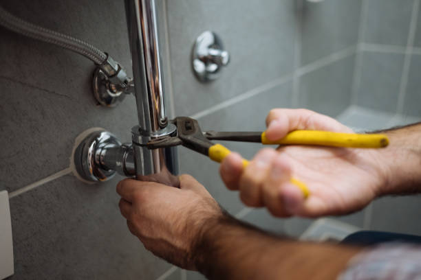 Best Emergency Plumber  in Walcott, IA